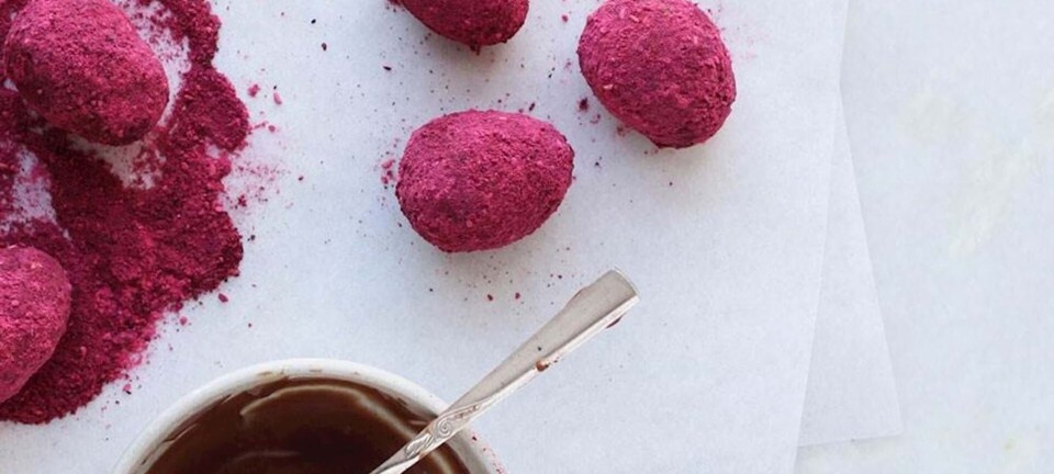 Hasselnøddeæg med bærstøv