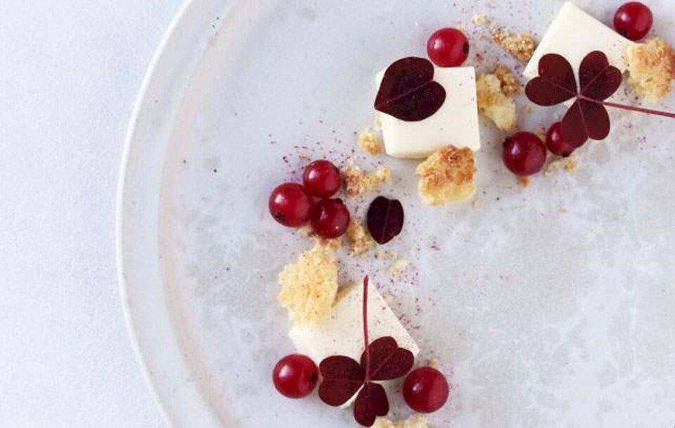 Hvid chokolade-cheesecake