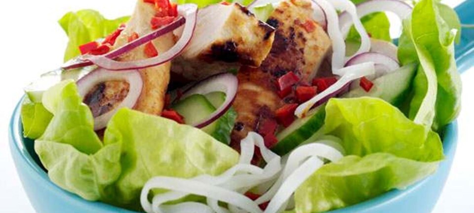 Orientalsk kyllingesalat