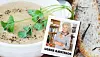 Ugens gæstekok: Vibeke Lehn laver super suppe