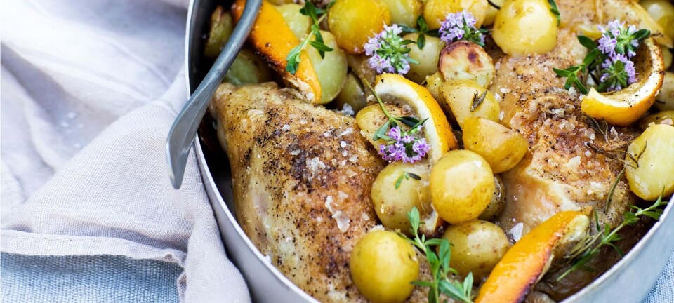 Kylling i fad med citron, timian og kartofler