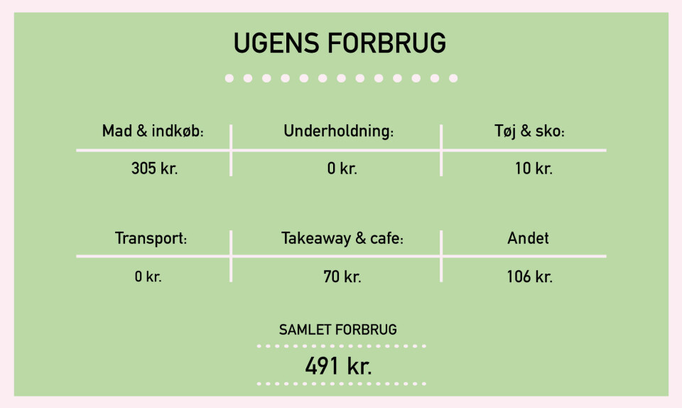 Ugens_forbrug_nicoline.jpg