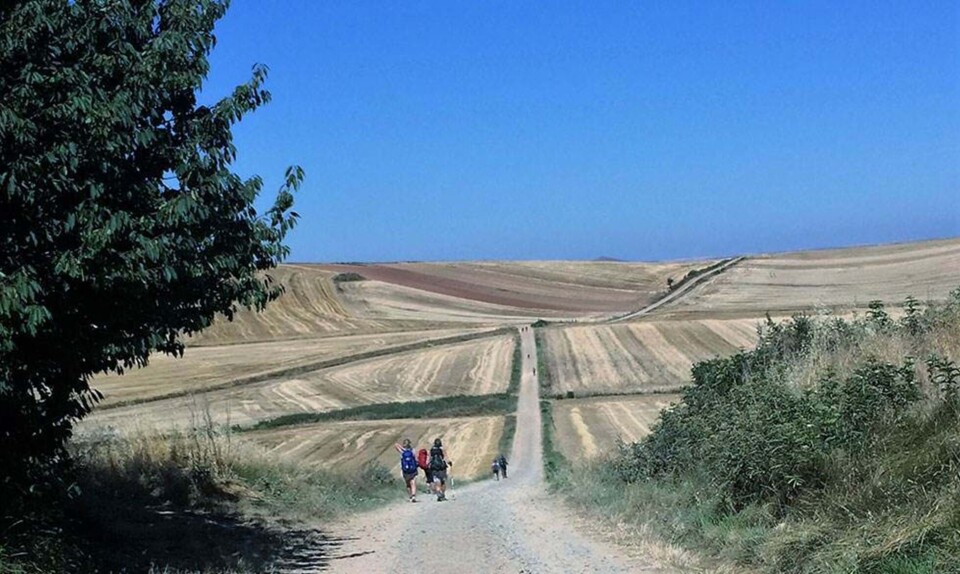 Caminoen