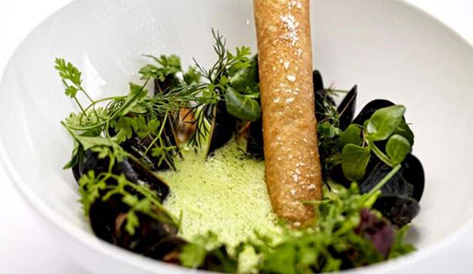 Persillesuppe opskrift