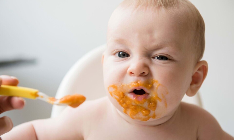 Den store madguide: Det må din baby spise