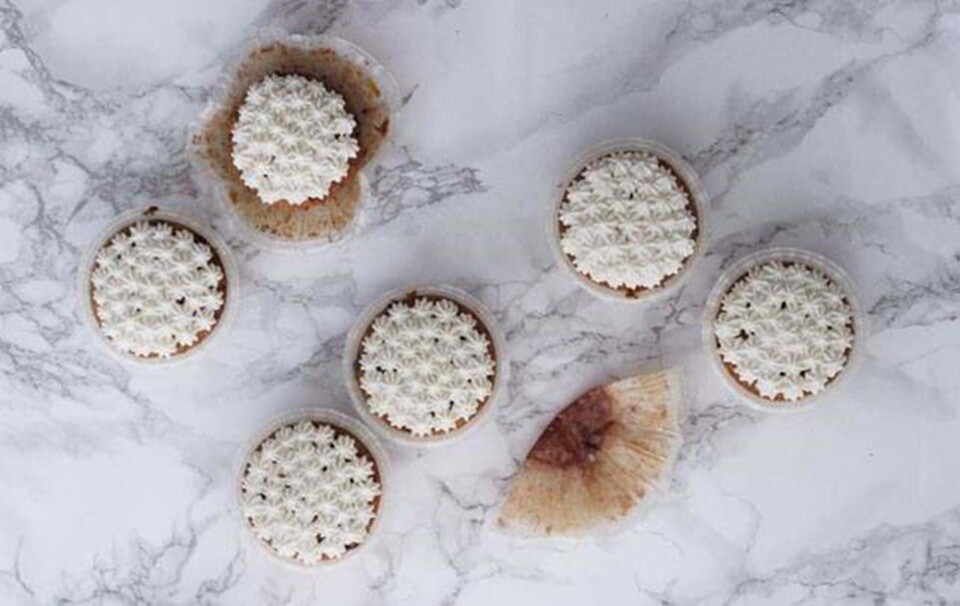 Saftige gulerodsmuffins