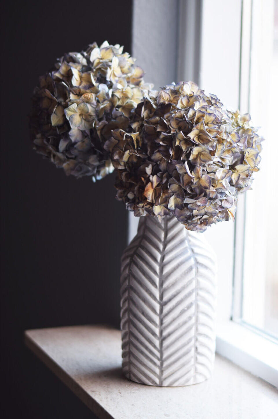 Tørrede hortensia