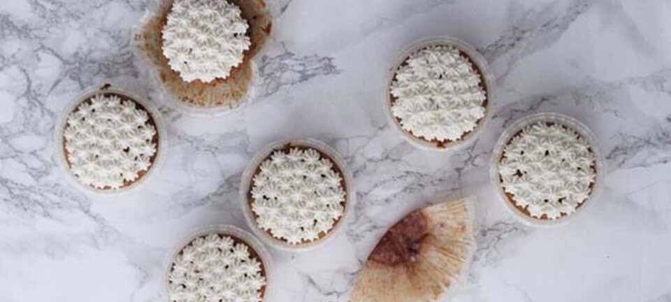 Saftige gulerodsmuffins