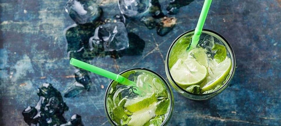 Bartenderne guider: Disse 15 cocktails kan du købe ind til i Netto og lave derhjemme