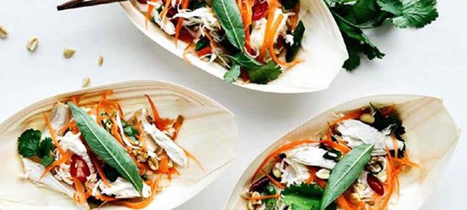 Vietnamesisk salat med kylling og papaya
