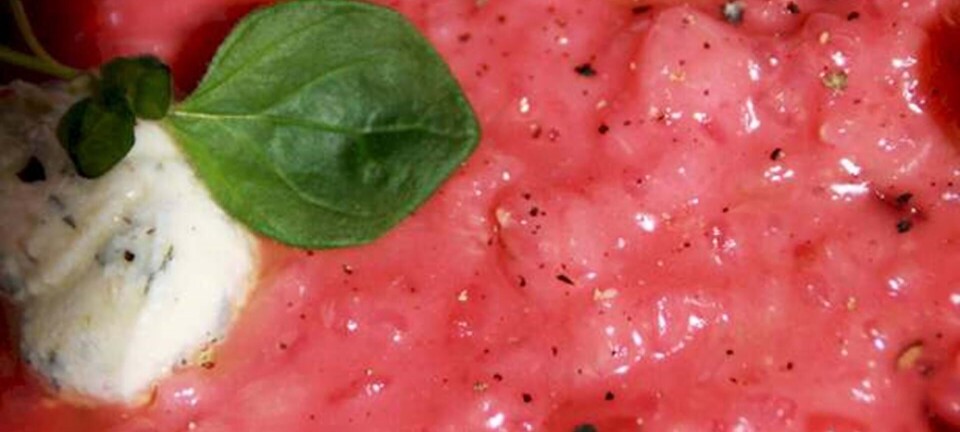 Rødbede-risotto med ricotta-creme