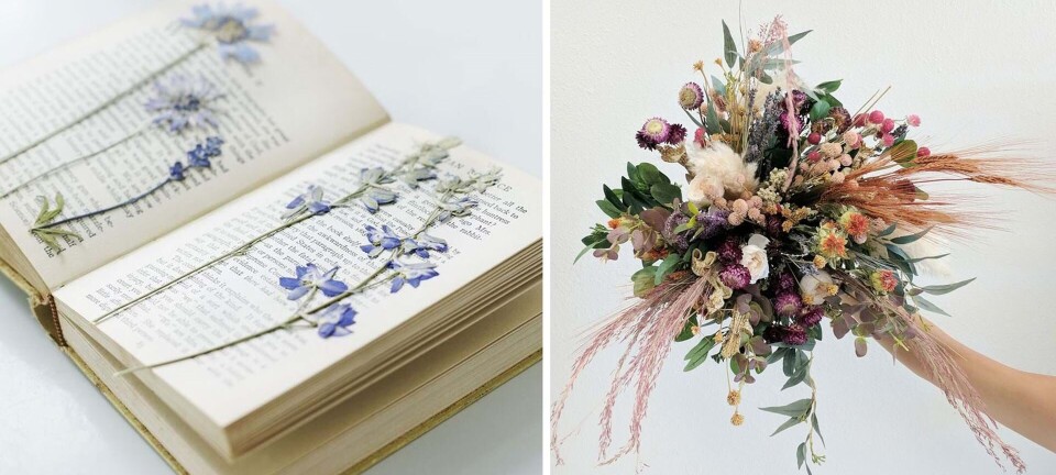 10 tips: Sådan kan du bruge tørrede blomster