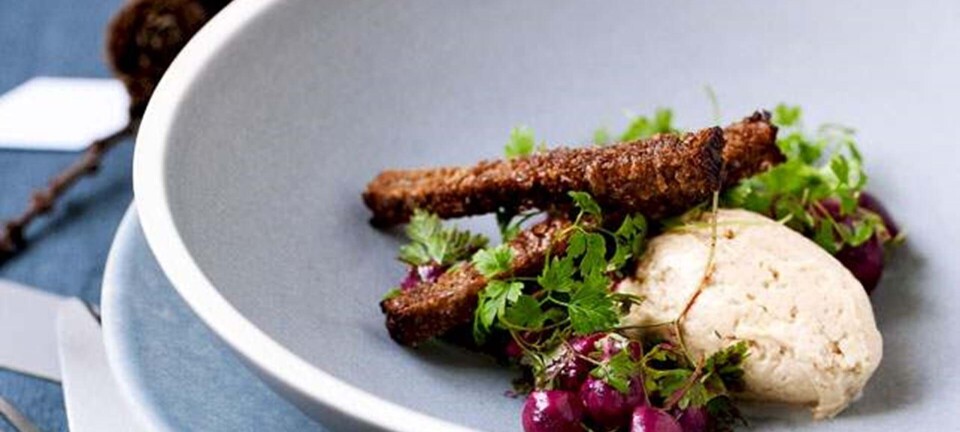 Foie gras-mousse med rødbeder og sprøde rugbrødssticks