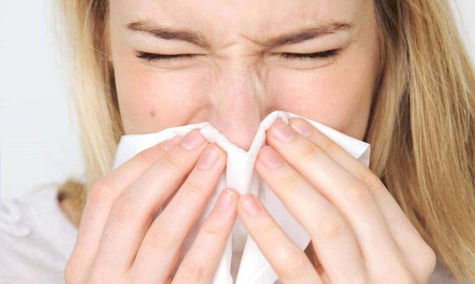Billede 1 - Tip mod forkølelse, influenza og halsbetændelse