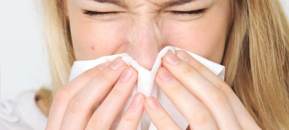 Atjuh: Er du forkølet? Her er 5 ting du kan gøre for at blive rask