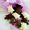 Mini-chokoladeskildpadder