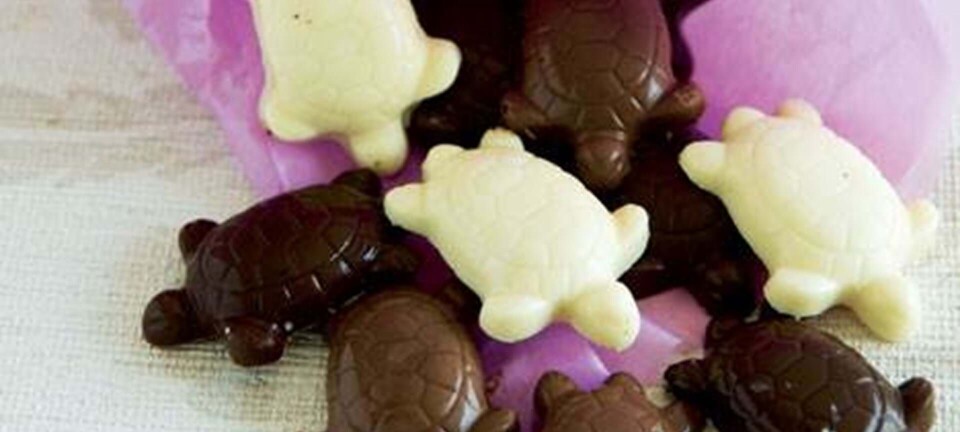 Mini-chokoladeskildpadder