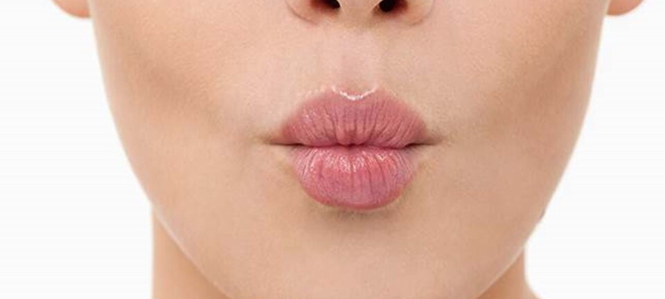 fit tester: Læbepomader