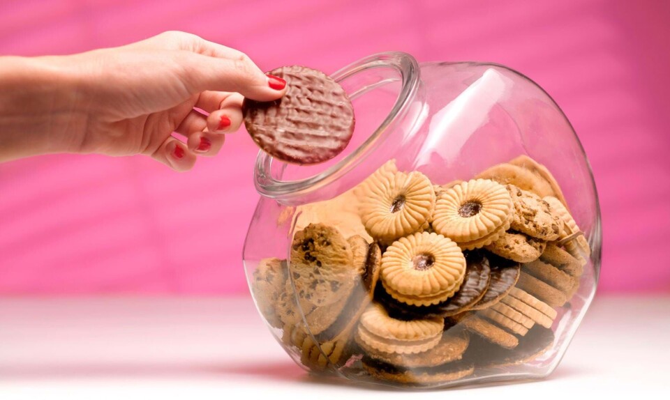 Nu kan du spise chokoladekiks hele dagen… OG få løn for det