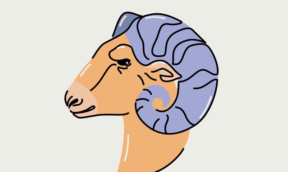 Det store sommershoroskop: Vædderen