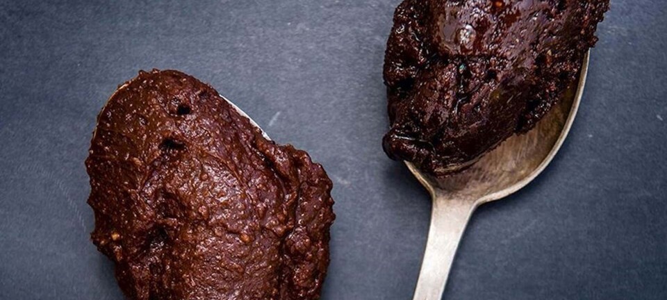 2 opskrifter på sund Nutella: Se her, hvordan du selv laver Nutella