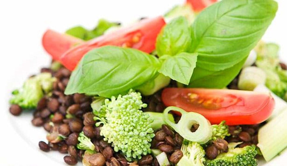 Opskrift på linsesalat