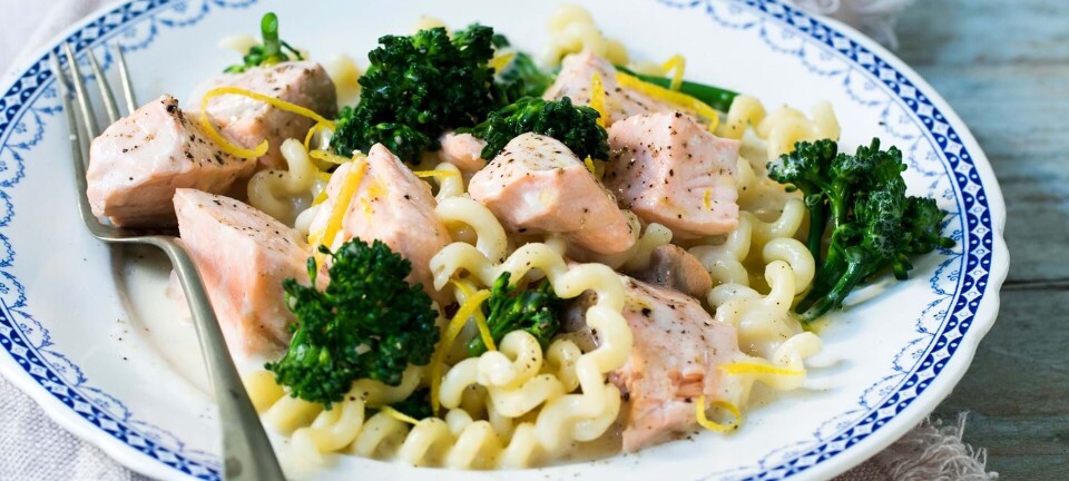Nem aftensmad: Lækker pasta med laks og broccoli