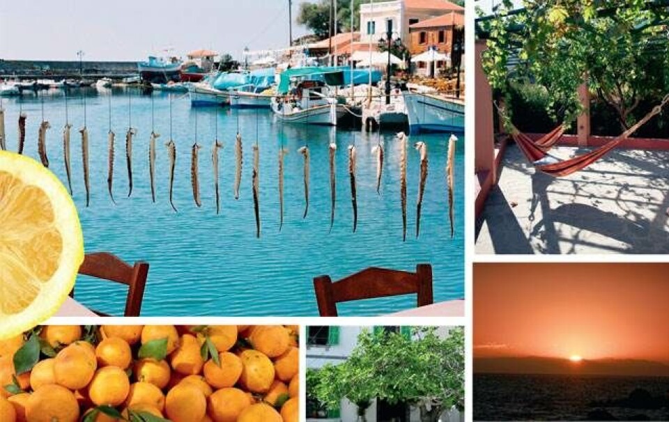 Samos: En uge i yoga-paradis