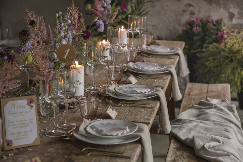 Havefest Søstrene Grene