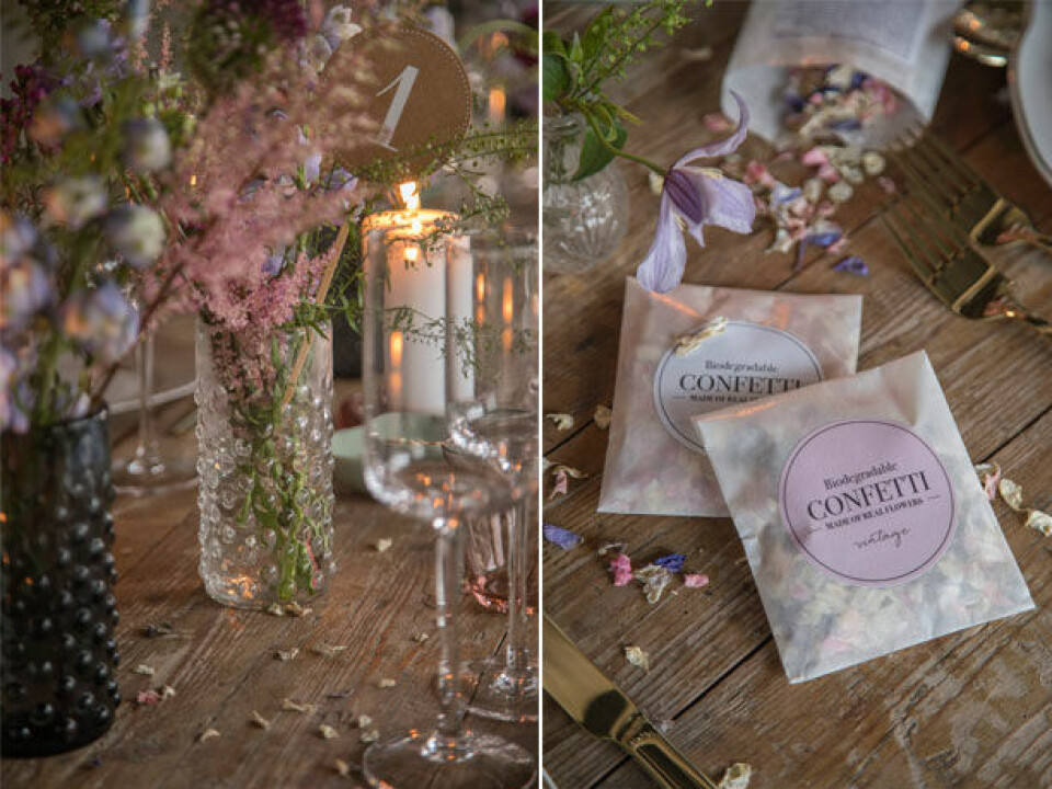 Havefest Søstrene Grene