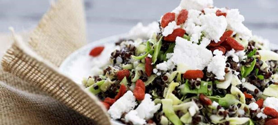Salat: Quinoa med brændennælder og gedefeta