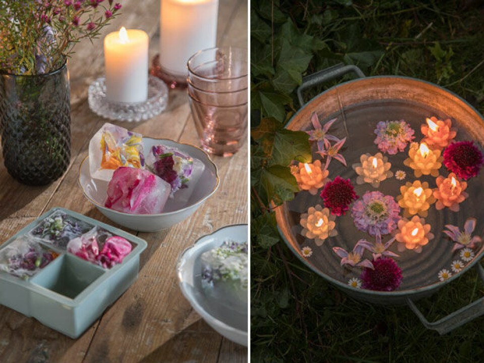 Havefest Søstrene Grene