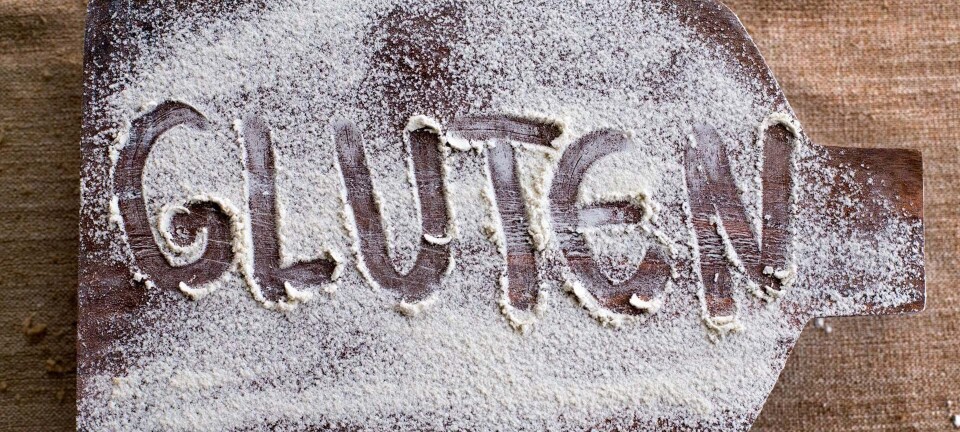 Gluten: Unødvendig kostdille eller for helbredets bedste?