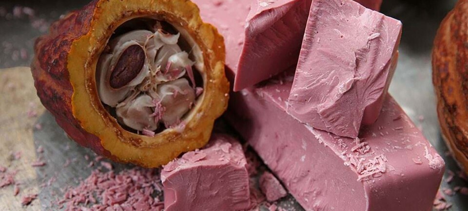 Nu kan du få en helt ny slags chokolade for første gang