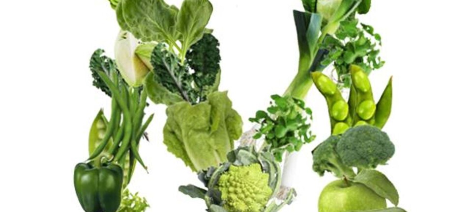 Fokus på magnesium: Mineralet, du ikke må mangle