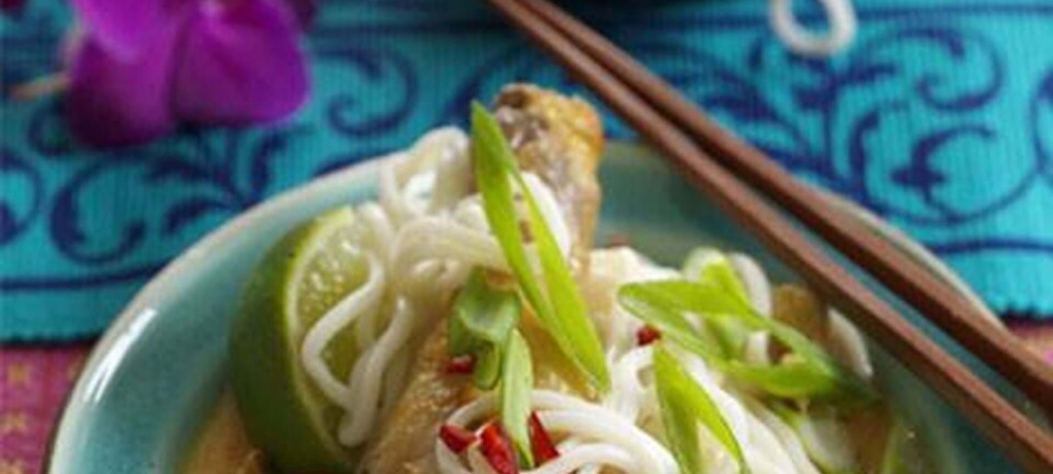 Rød curry med kylling og nudler