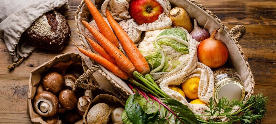 Påvirker vegetarkosten min vægt + 9 andre spørgsmål om vegetarkost