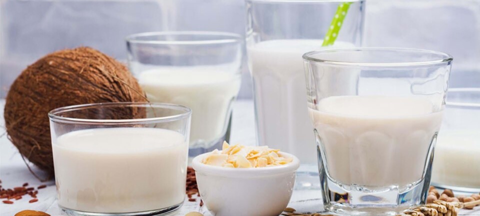 Drikker du ikke mælk: Få overblik over alternativerne