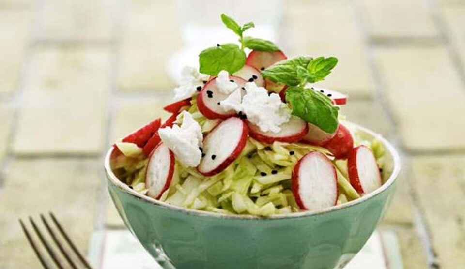 Opskrift på salat med spidskål, radiser, gedefeta og brændenældeskud