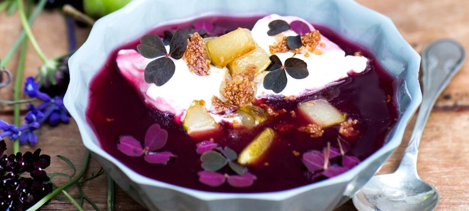 Hyldebærsuppe med sukkerstegte brødkrummer og pæretern