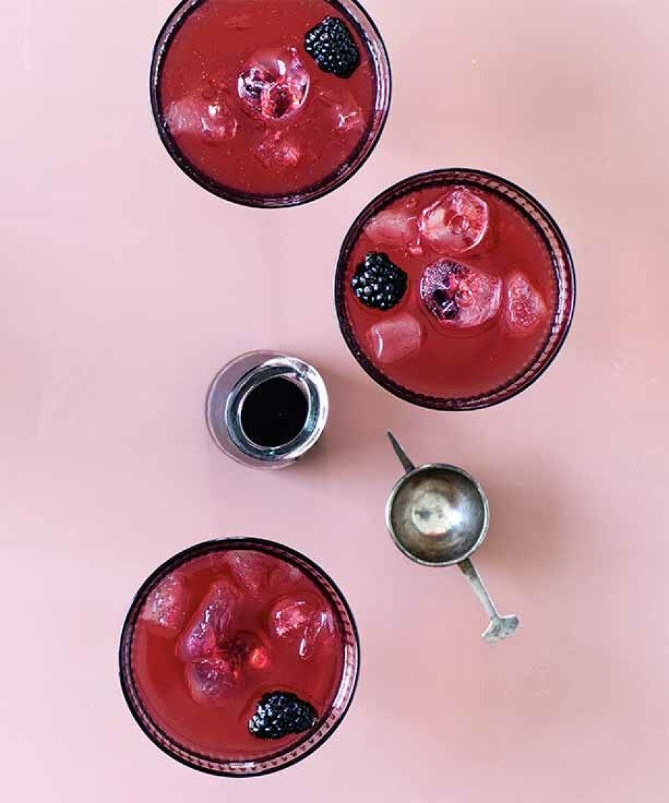 Brombærmartini: Sådan laver du en lækker martini med brombær