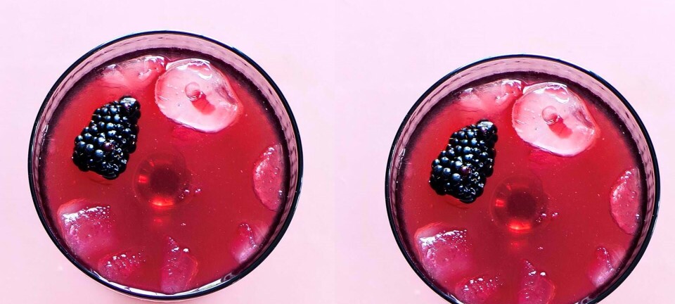 Brombærmartini: Sådan laver du en lækker martini med brombær