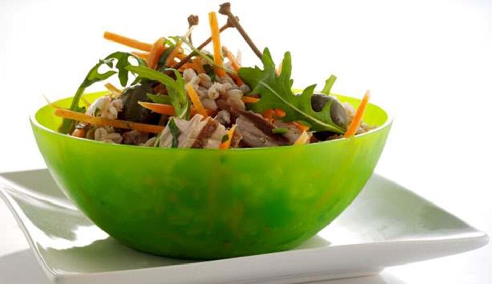 Opskrift på tunsalat