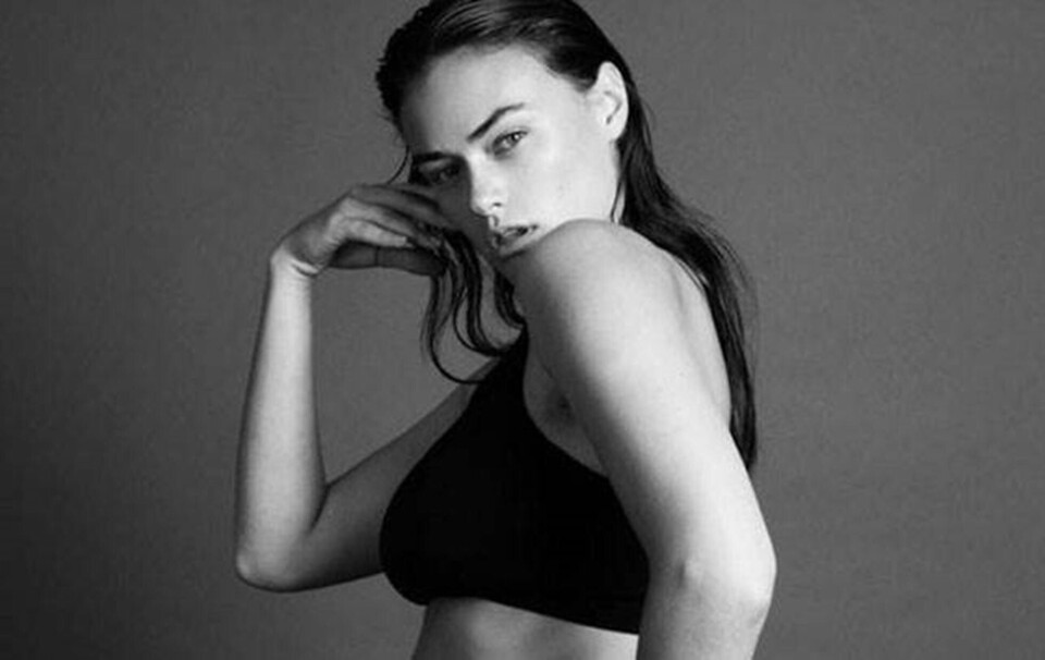 Den nye modeltype er 'inbetweenie'