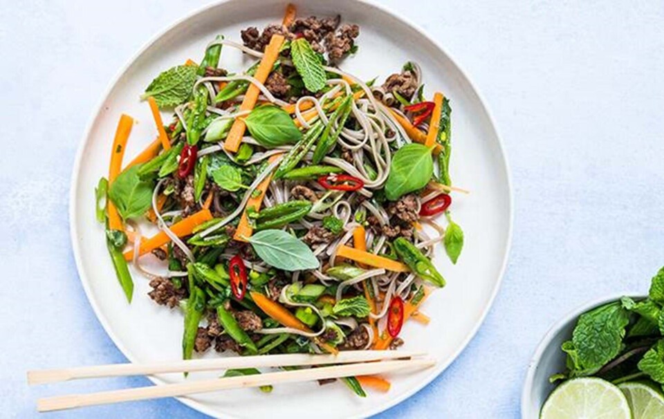 nudelsalat med oksekød