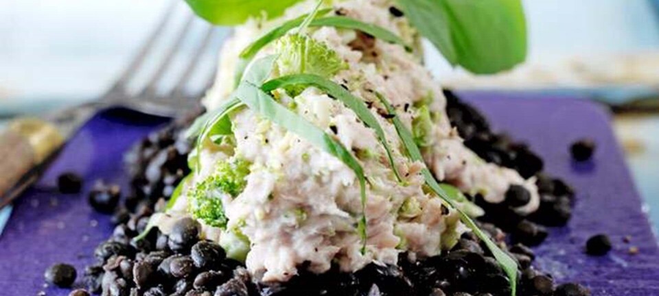 Belugalinser med tunmousse