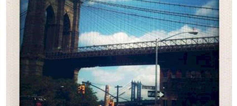 Det nyeste hit i New York