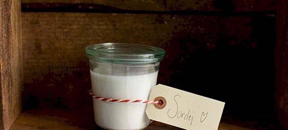 Dittes Madblog: Sådan bager du med surdej!