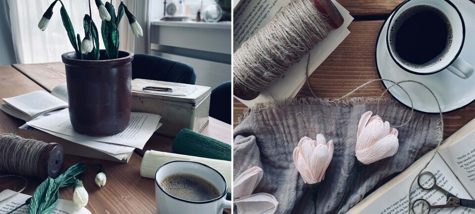 Crepe blomster: Sådan laver du vintergækker og tulipaner i crepe