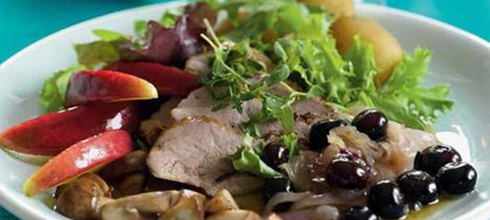 Andebryst med svampe og blåbær